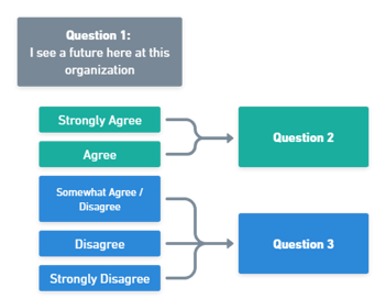 branching example for newsletter
